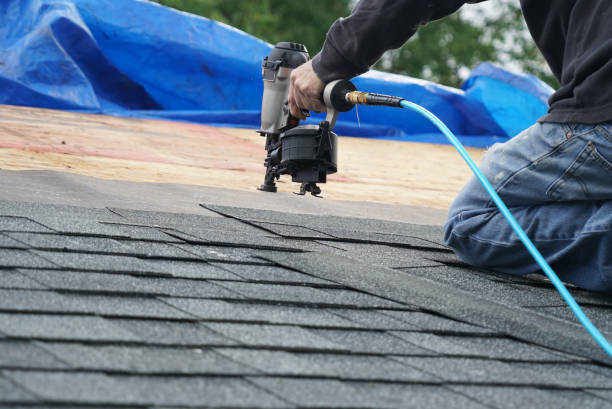 Best Roof Gutter Cleaning  in Mansfield, TX
